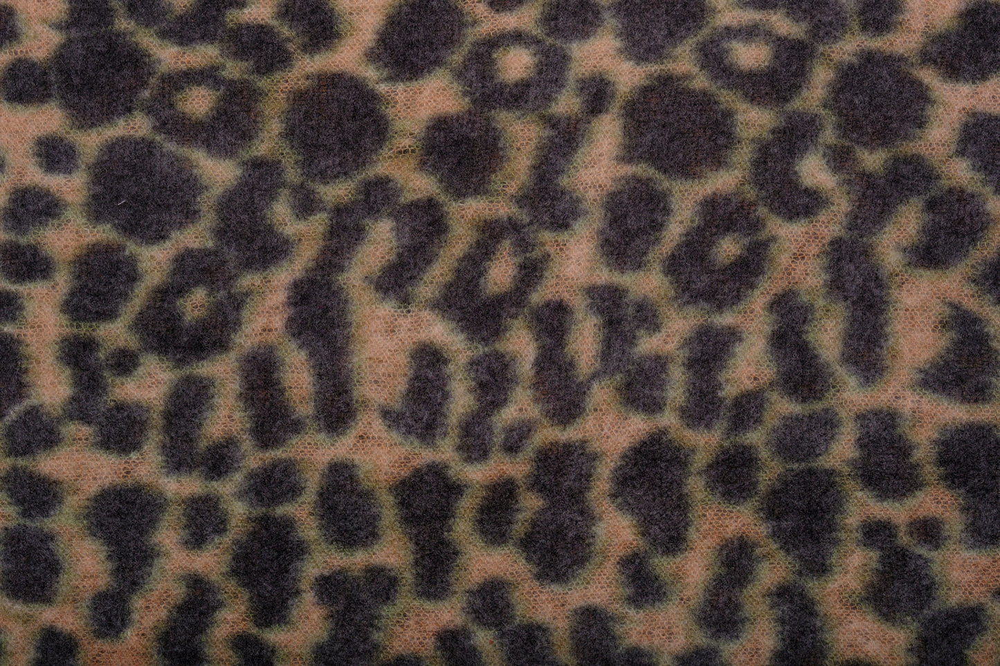 Kaschmir Schal Leo Camel & Navy