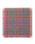 Bandana Check Cabernet/Blue